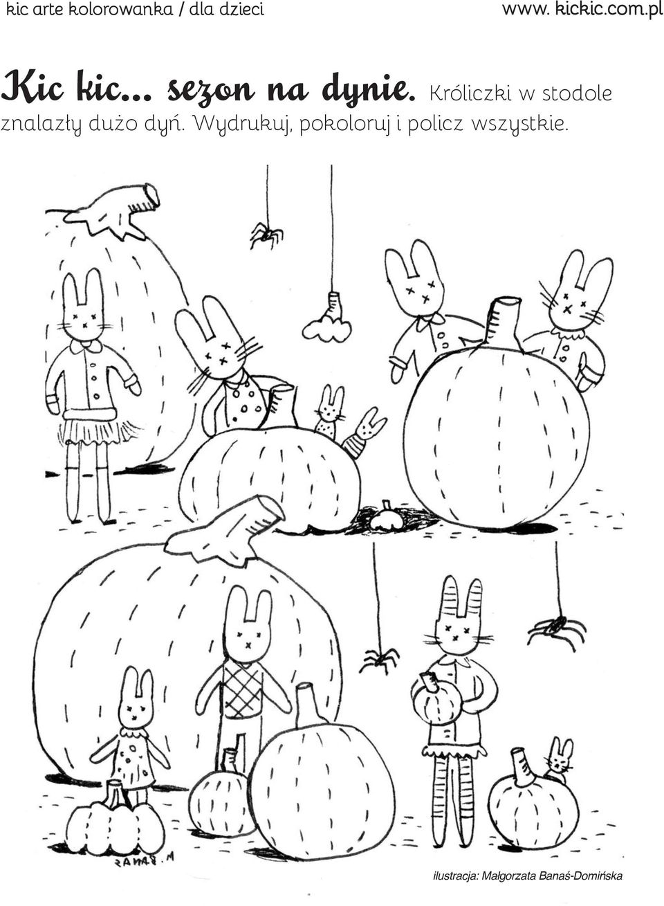 Króliczki w stodole znalazły dużo dyń.