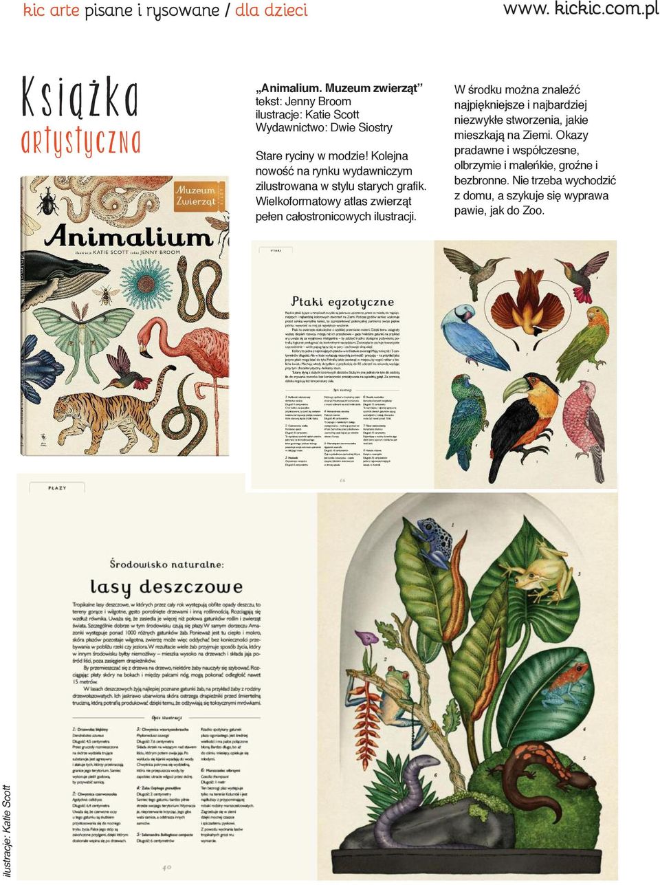 Kolejna nowość na rynku wydawniczym zilustrowana w stylu starych grafik. Wielkoformatowy atlas zwierząt pełen całostronicowych ilustracji.