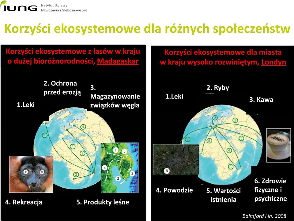 Leki 2. Ochrona przed erozją 3. Magazynowanie związków węgla 1.Leki 2. Ryby 3. Kawa 4. Rekreacja 5.