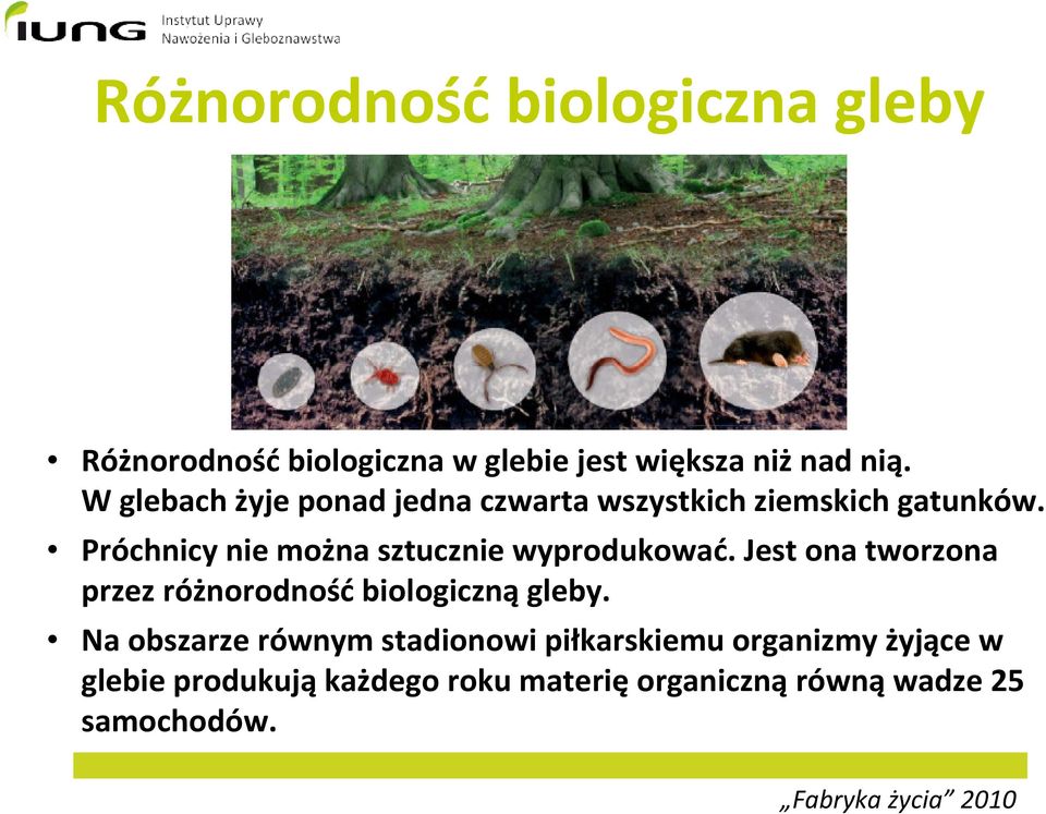 Próchnicy nie można sztucznie wyprodukować. Jest ona tworzona przez różnorodność biologiczną gleby.