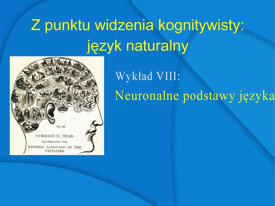 naturalny Wykład