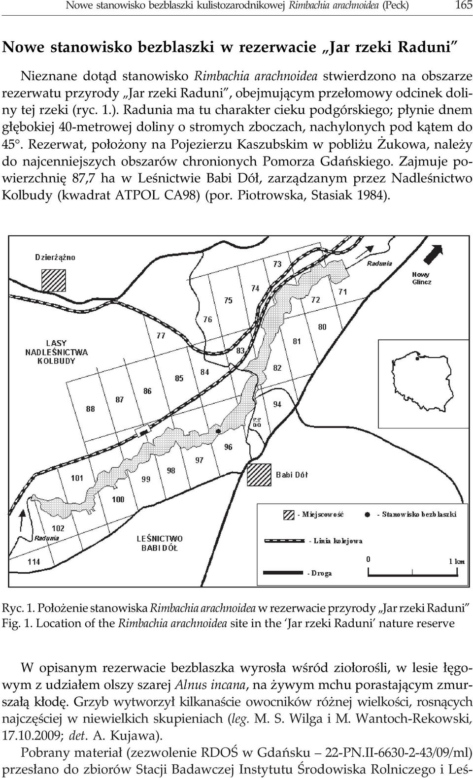 Radunia ma tu charakter cieku podgórskiego; p³ynie dnem g³êbokiej 40-metrowej doliny o stromych zboczach, nachylonych pod k¹tem do 45.
