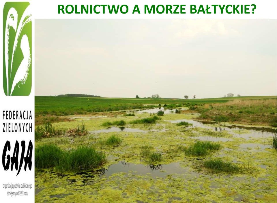 BAŁTYCKIE?