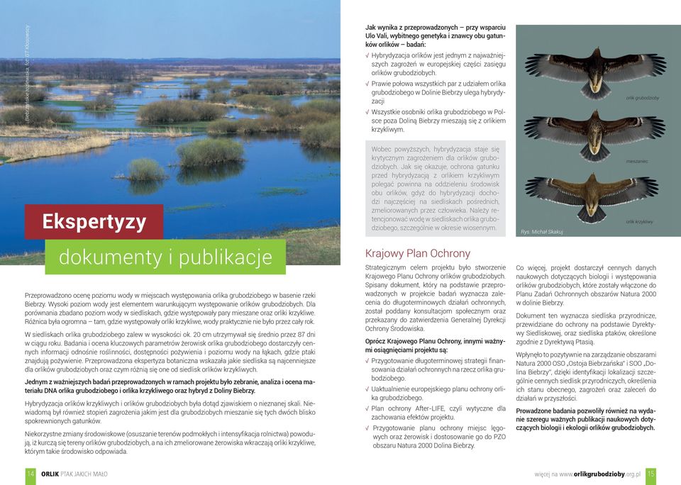 części zasięgu orlików grubodziobych.