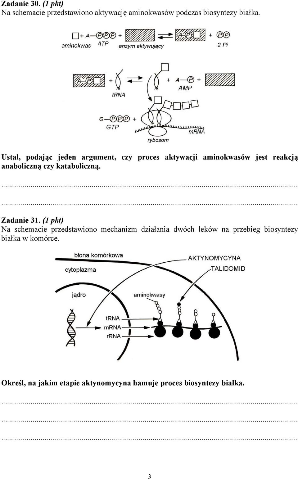 anaboliczną czy kataboliczną. Zadanie 31.