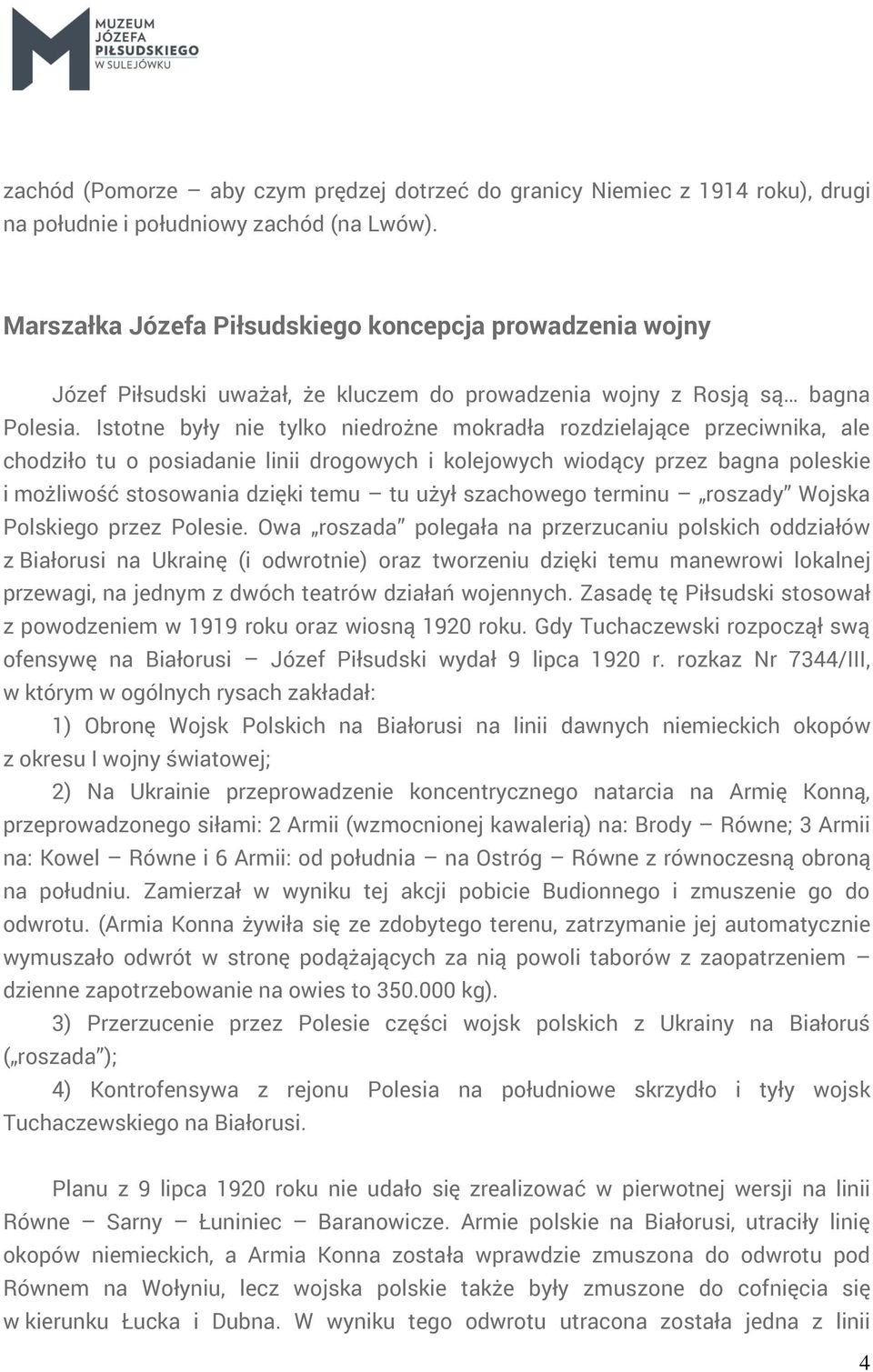 Istotne były nie tylko niedrożne mokradła rozdzielające przeciwnika, ale chodziło tu o posiadanie linii drogowych i kolejowych wiodący przez bagna poleskie i możliwość stosowania dzięki temu tu użył