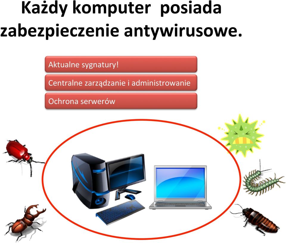 Aktualne sygnatury!
