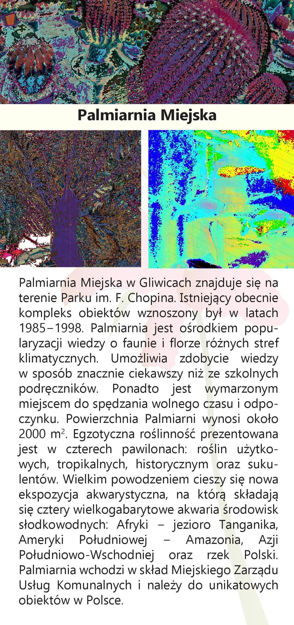 Ponadto jest wymarzonym miejscem do spędzania wolnego czasu i odpoczynku. Powierzchnia Palmiarni wynosi około 2000 m2.