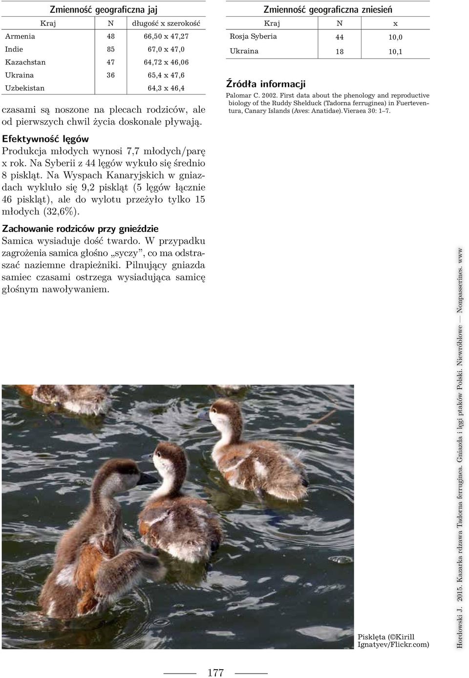 First data about the phenology and reproductive biology of the Ruddy Shelduck (Tadorna ferruginea) in Fuerteventura, Canary Islands (Aves: Anatidae). Vieraea 30: 1 7.