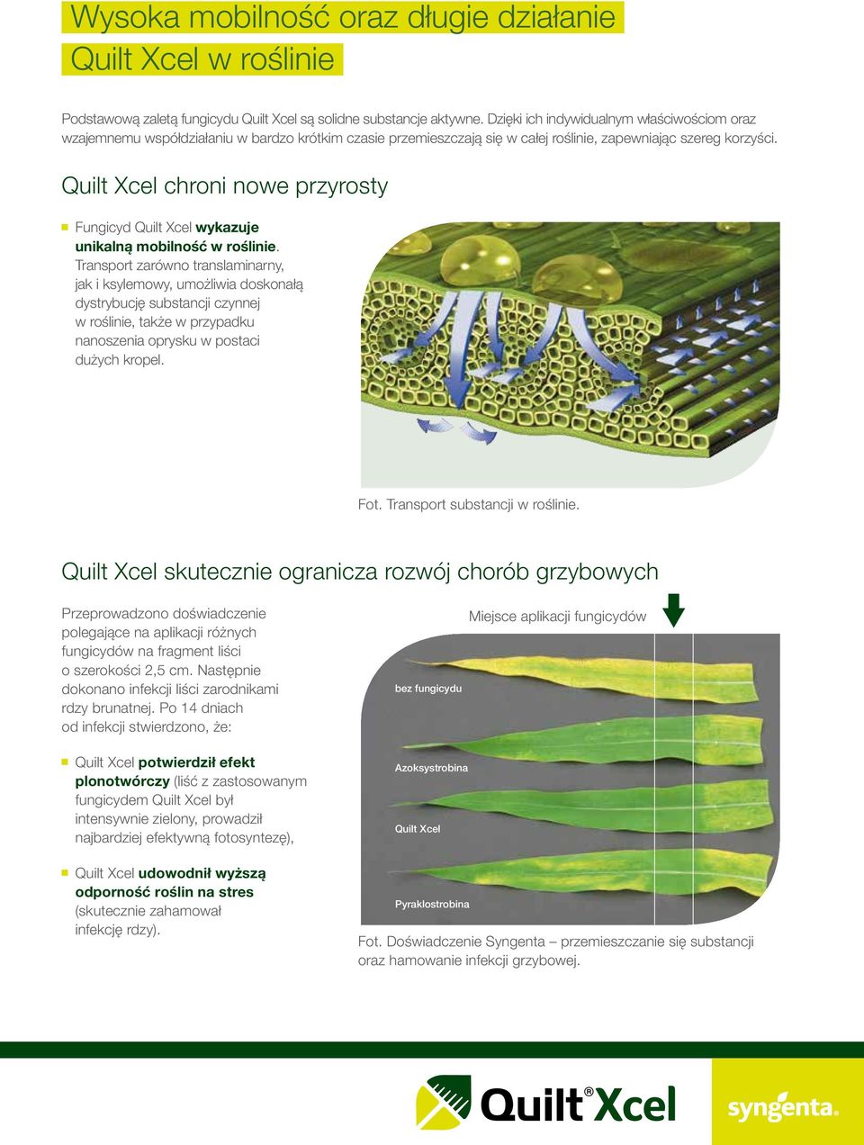 Quilt Xcel chroni nowe przyrosty Fungicyd Quilt Xcel wykazuje unikalną mobilność w roślinie.