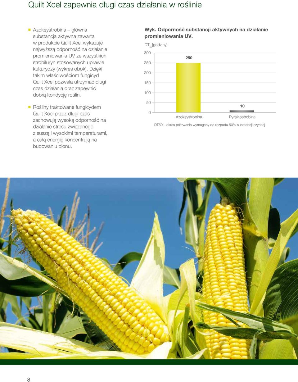 Rośliny traktowane fungicydem Quilt Xcel przez długi czas zachowują wysoką odporność na działanie stresu związanego z suszą i wysokimi temperaturami, a całą energię koncentrują na budowaniu plonu.
