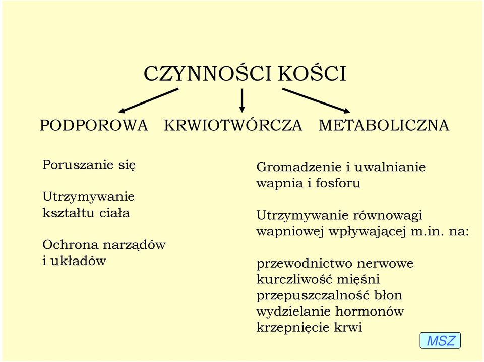 fosforu Utrzymywanie równowagi wapniowej wpływającej m.in.