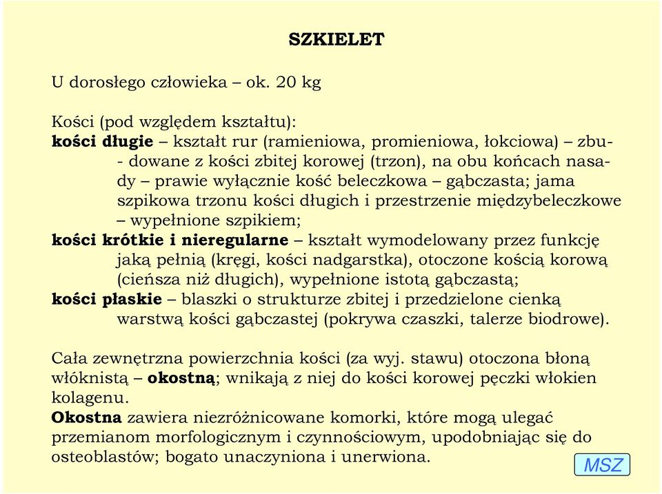 beleczkowa gąbczasta; jama szpikowa trzonu kości długich i przestrzenie międzybeleczkowe wypełnione szpikiem; kości krótkie i nieregularne kształt wymodelowany przez funkcję jaką pełnią (kręgi, kości