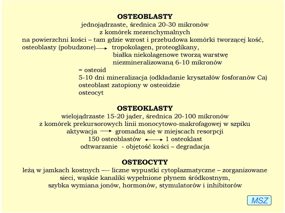 OSTEOKLASTY wielojądrzaste 15-20 jąder, średnica 20-100 mikronów z komórek prekursorowych linii monocytowo-makrofagowej w szpiku aktywacja gromadzą się w miejscach resorpcji 150 osteoblastów 1