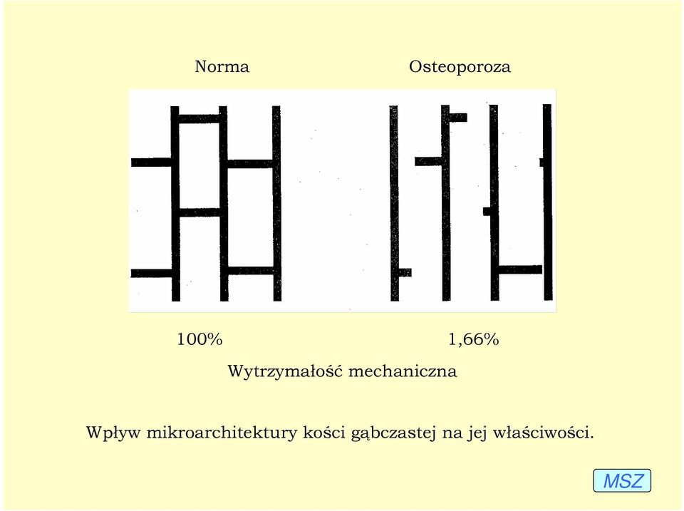 Wpływ mikroarchitektury