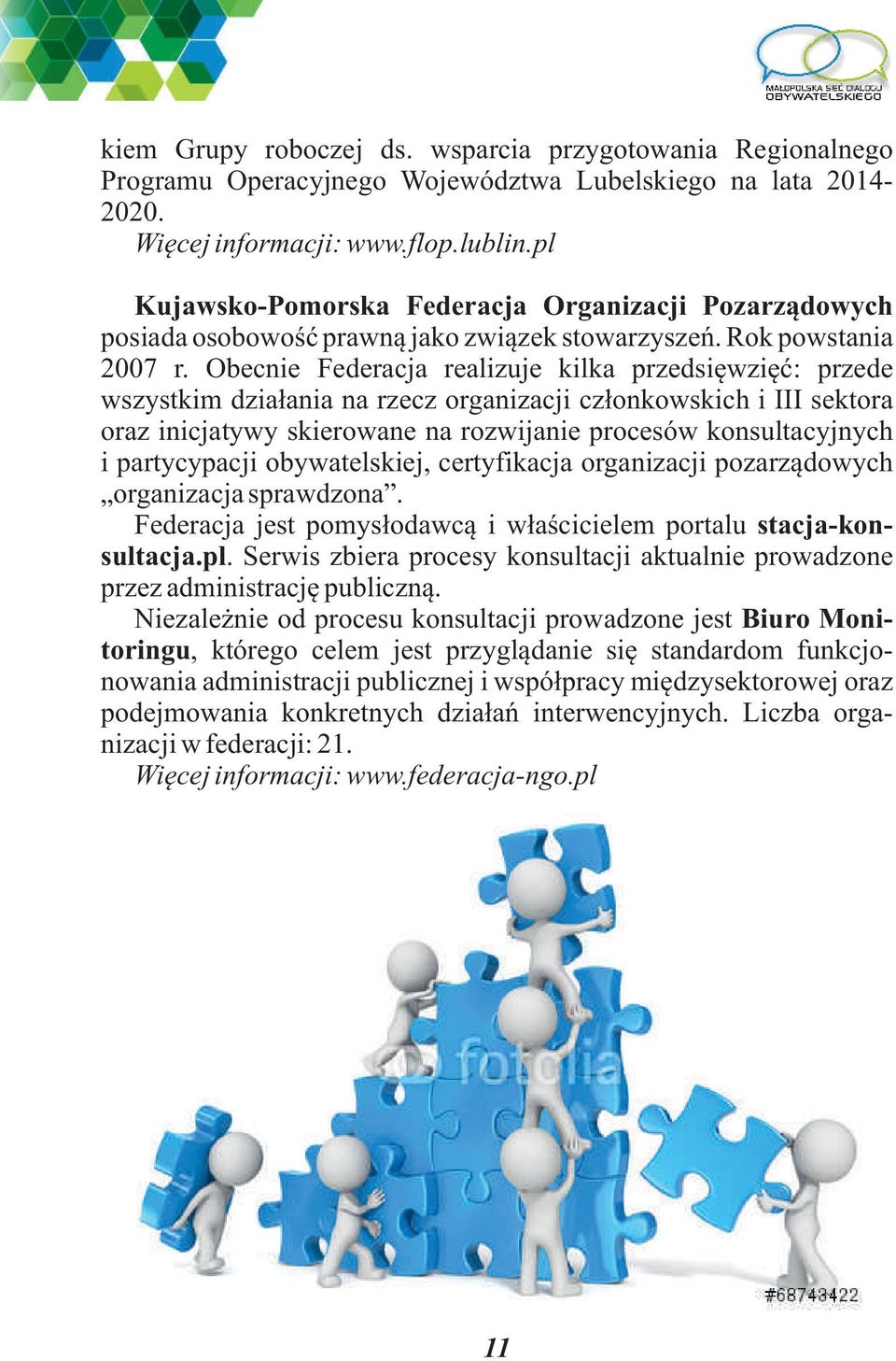 Obecnie Federacja realizuje kilka przedsięwzięć: przede wszystkim działania na rzecz organizacji członkowskich i III sektora oraz inicjatywy skierowane na rozwijanie procesów konsultacyjnych i