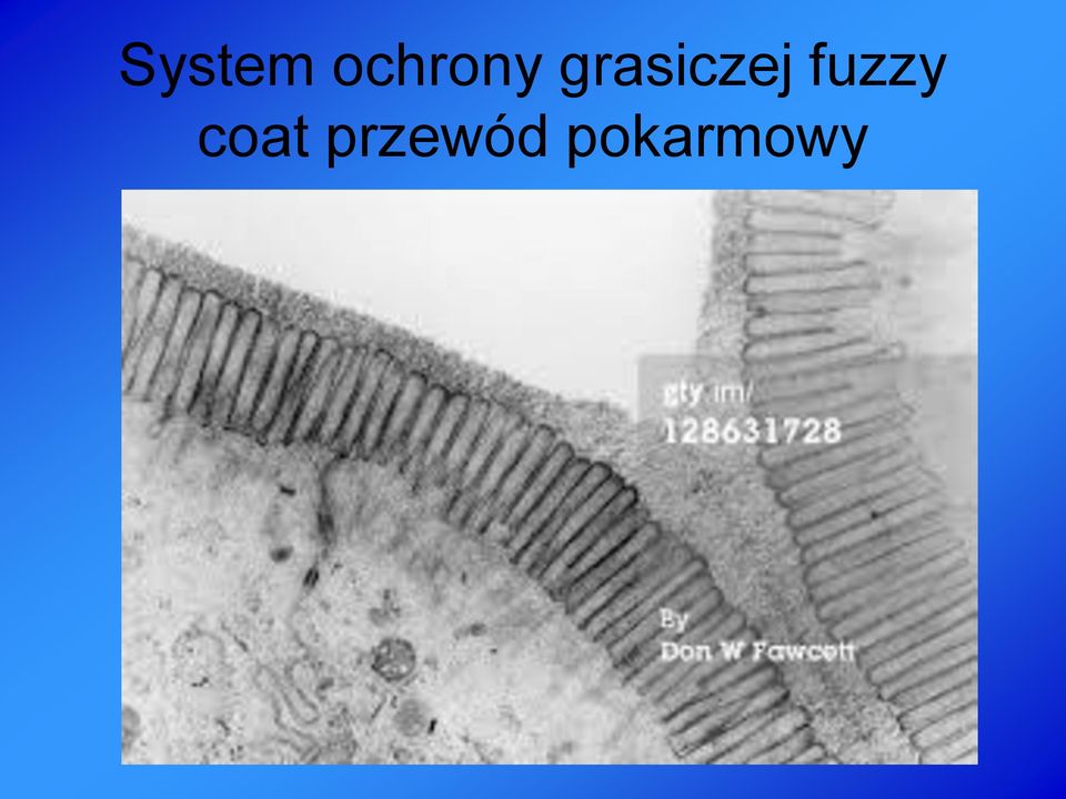 grasiczej