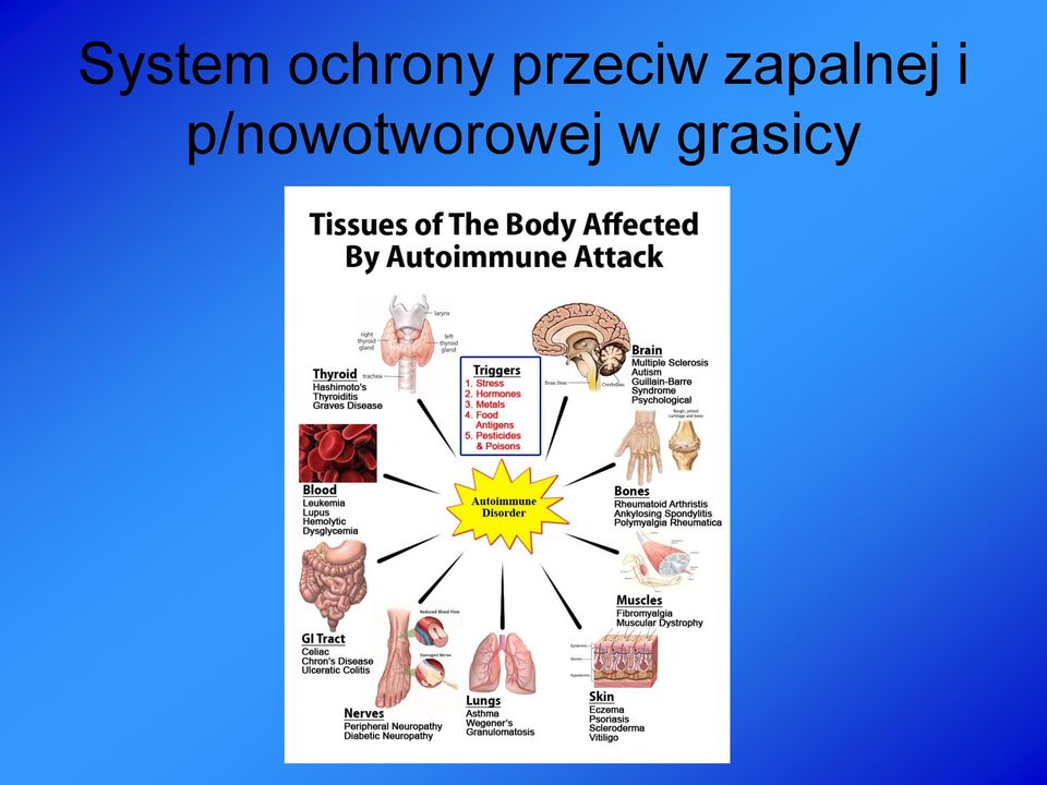 zapalnej i