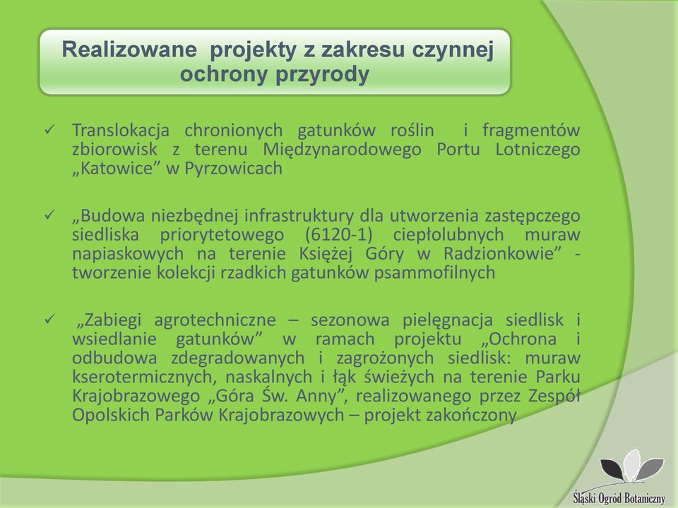 tworzenie kolekcji rzadkich gatunków psammofilnych Zabiegi agrotechniczne sezonowa pielęgnacja siedlisk i wsiedlanie gatunków w ramach projektu Ochrona i odbudowa zdegradowanych i