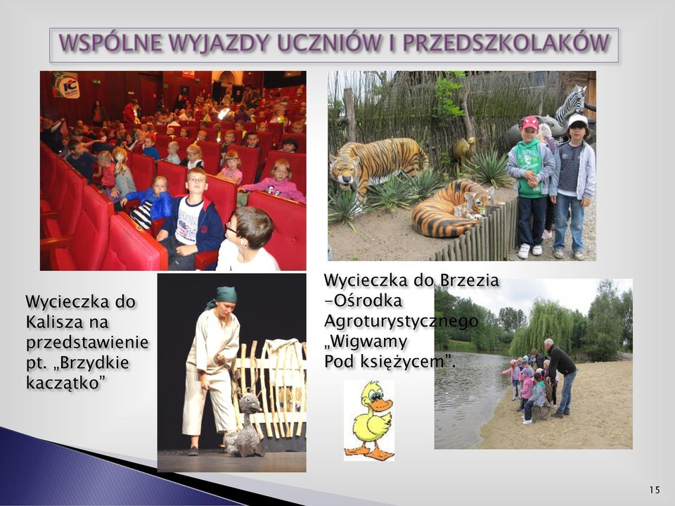 Brzydkie kaczątko Wycieczka do