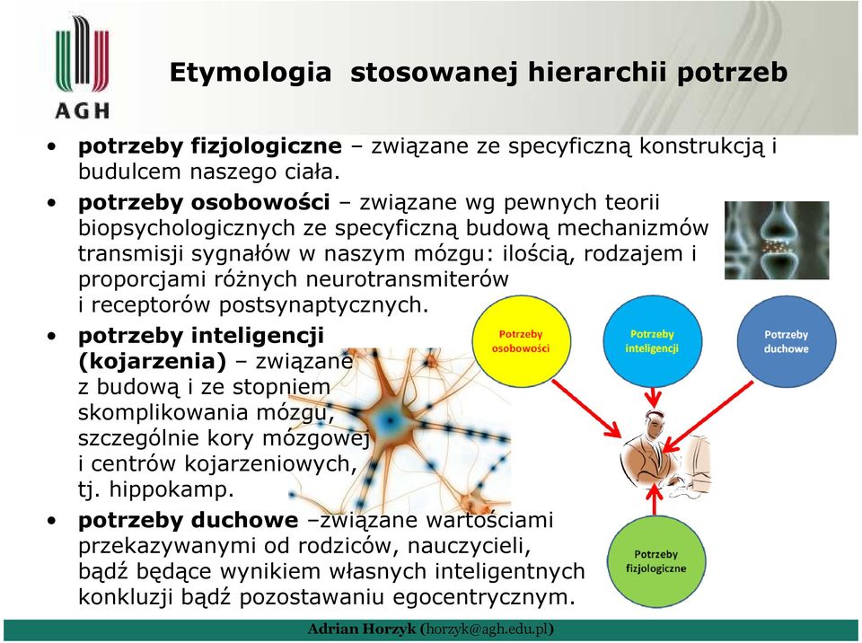 róŝnych neurotransmiterów i receptorów postsynaptycznych.