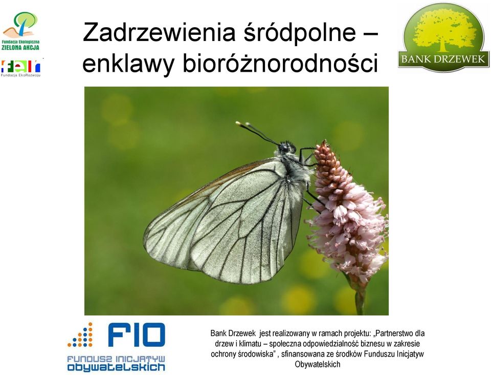 drzew i klimatu społeczna odpowiedzialność biznesu w zakresie