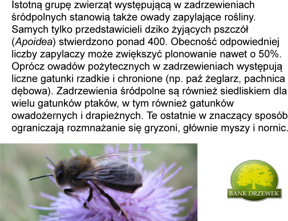 Obecność odpowiedniej liczby zapylaczy może zwiększyć plonowanie nawet o 50%.