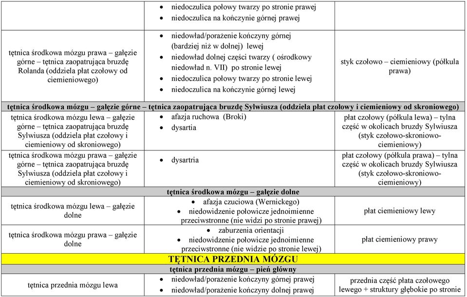 Sylwiusza (oddziela płat czołowy i ciemieniowy od skroniowego) tętnica środkowa mózgu lewa gałęzie afazja ruchowa (Broki) płat czołowy (półkula lewa) tylna górne tętnica zaopatrująca bruzdę Sylwiusza