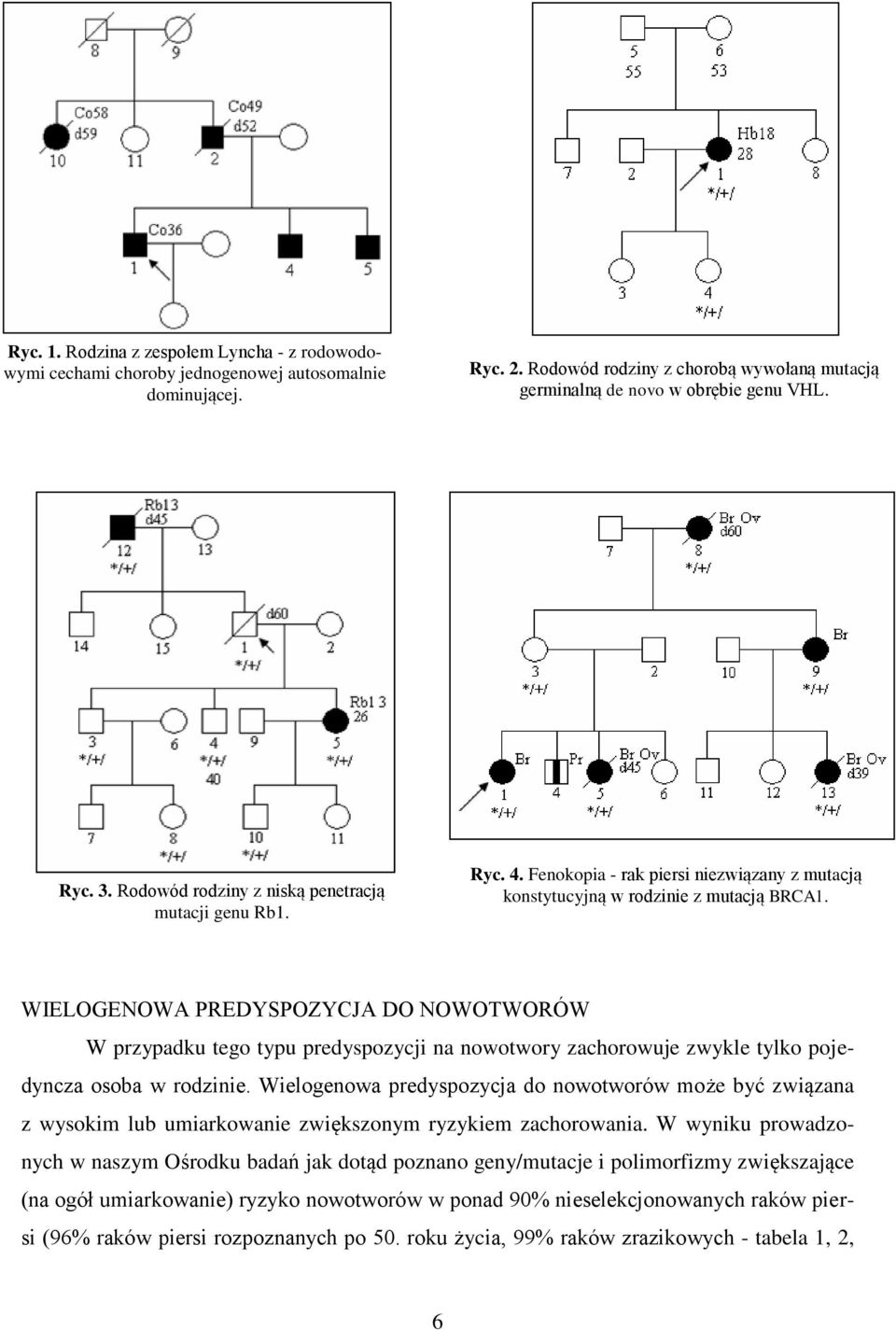 WIELOGENOWA PREDYSPOZYCJA DO NOWOTWORÓW W przypadku tego typu predyspozycji na nowotwory zachorowuje zwykle tylko pojedyncza osoba w rodzinie.