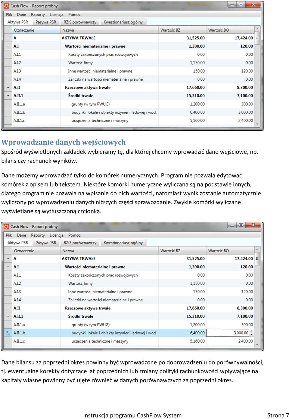 Niektóre komórki numeryczne wyliczana są na podstawie innych, dlatego program nie pozwala na wpisanie do nich wartości, natomiast wynik zostanie automatycznie wyliczony po wprowadzeniu danych