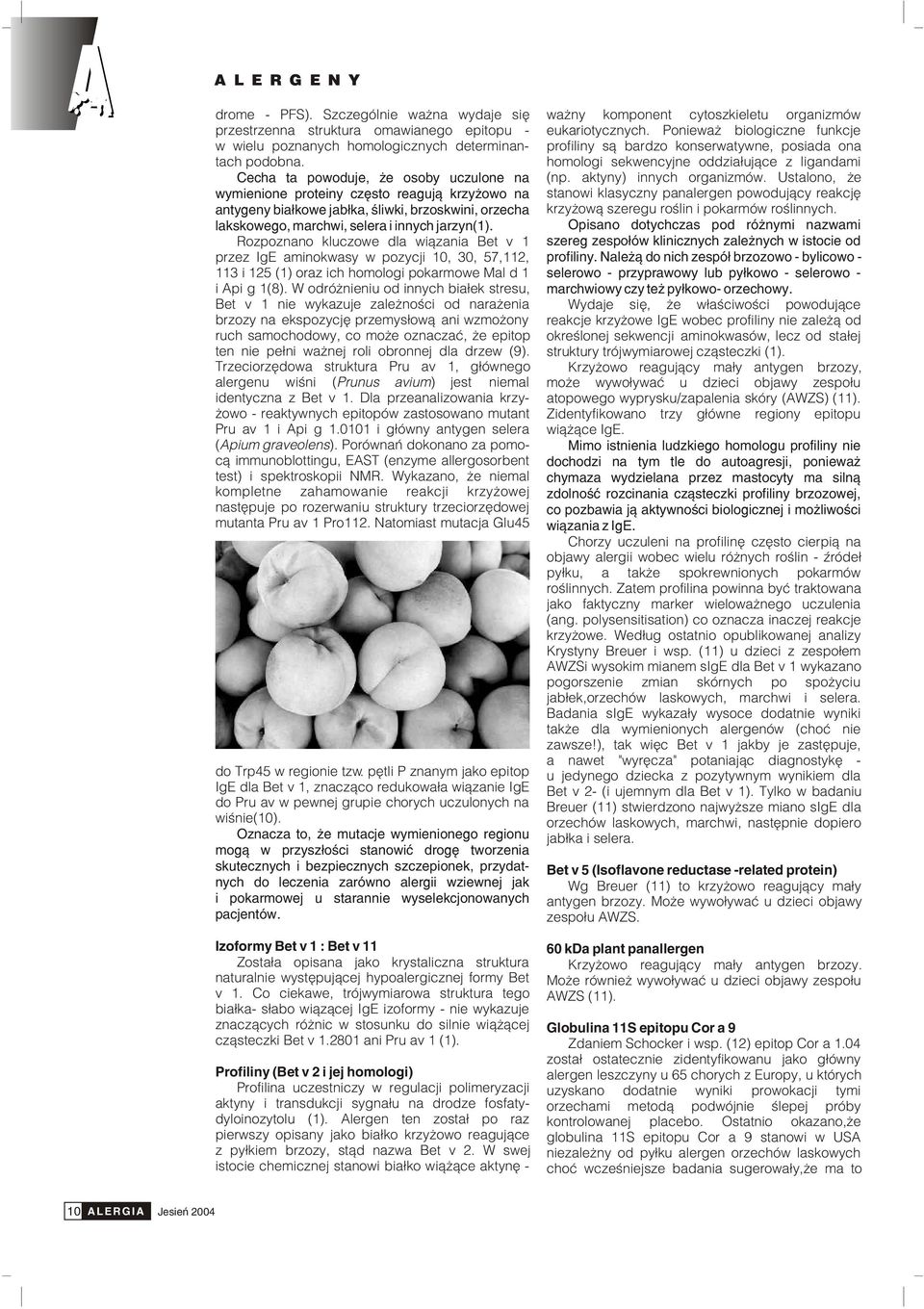 homologi sekwencyjne oddzia³uj¹ce z ligandami Cecha ta powoduje, e osoby uczulone na (np. aktyny) innych organizmów.