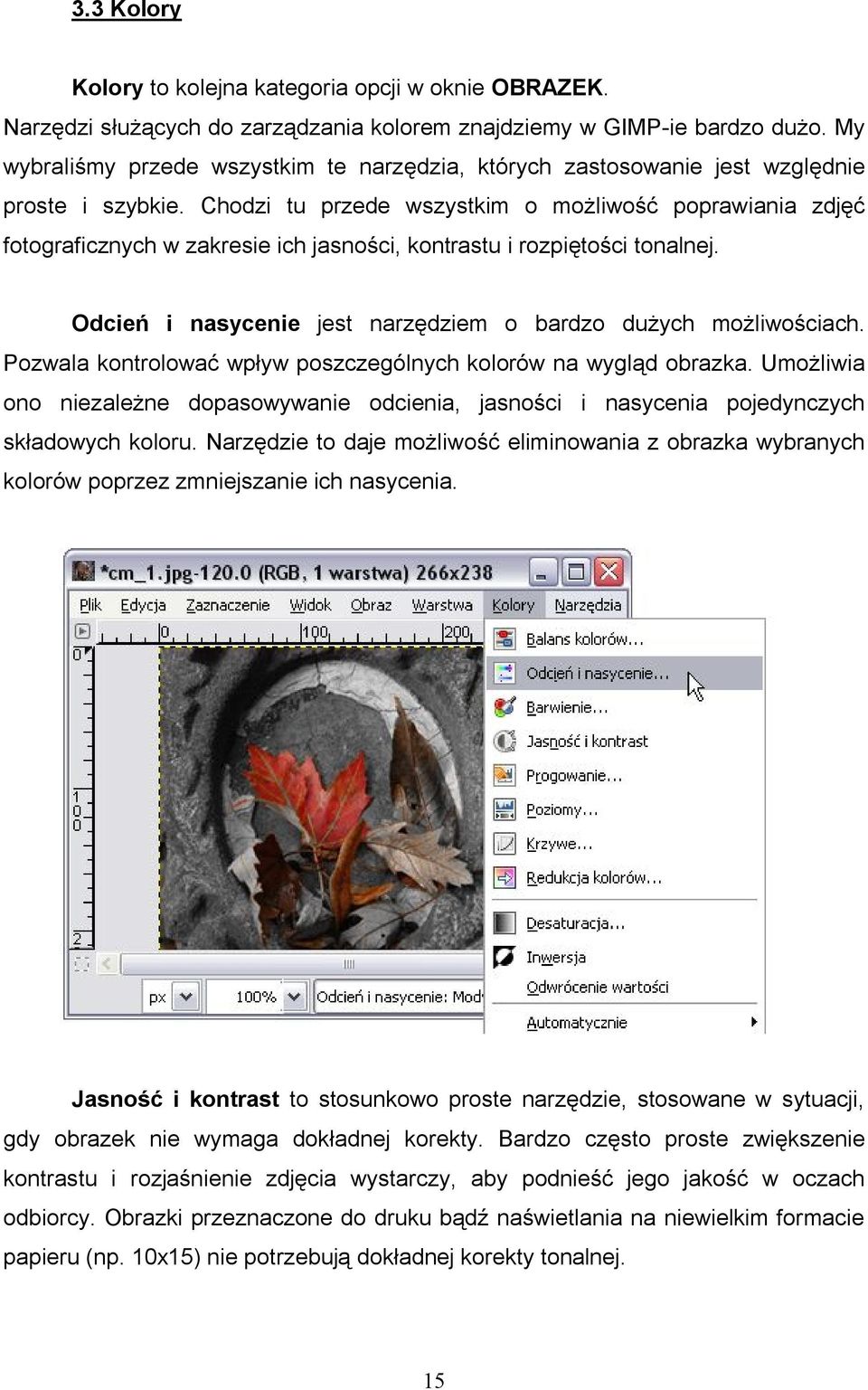 Chodzi tu przede wszystkim o możliwość poprawiania zdjęć fotograficznych w zakresie ich jasności, kontrastu i rozpiętości tonalnej. Odcień i nasycenie jest narzędziem o bardzo dużych możliwościach.