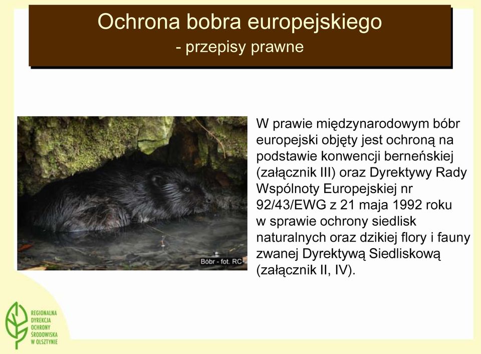 Wspólnoty Europejskiej nr 92/43/EWG z 21 maja 1992 roku w sprawie ochrony