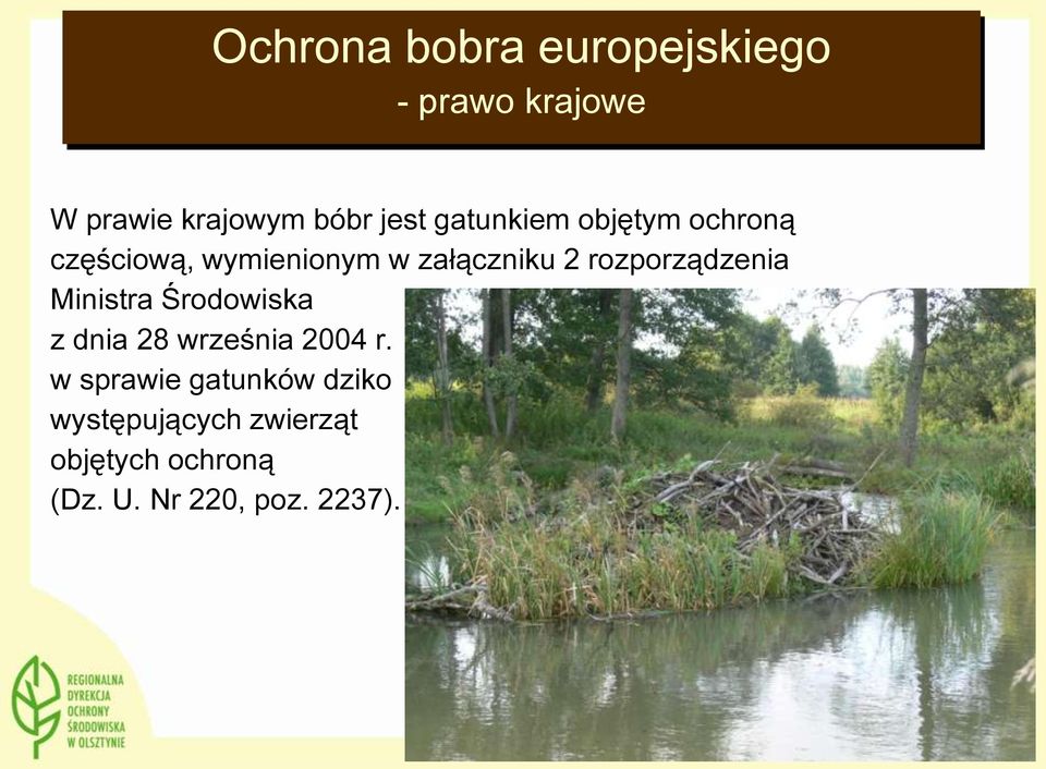 Ministra Środowiska z dnia 28 września 2004 r.