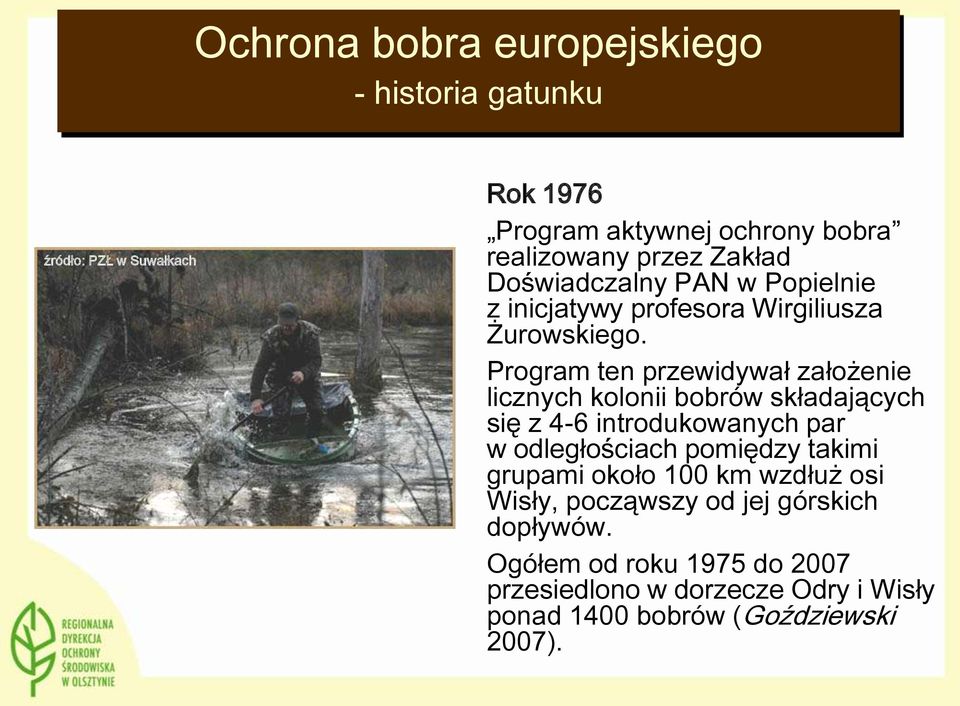 Program ten przewidywał założenie licznych kolonii bobrów składających się z 4-6 introdukowanych par w odległościach