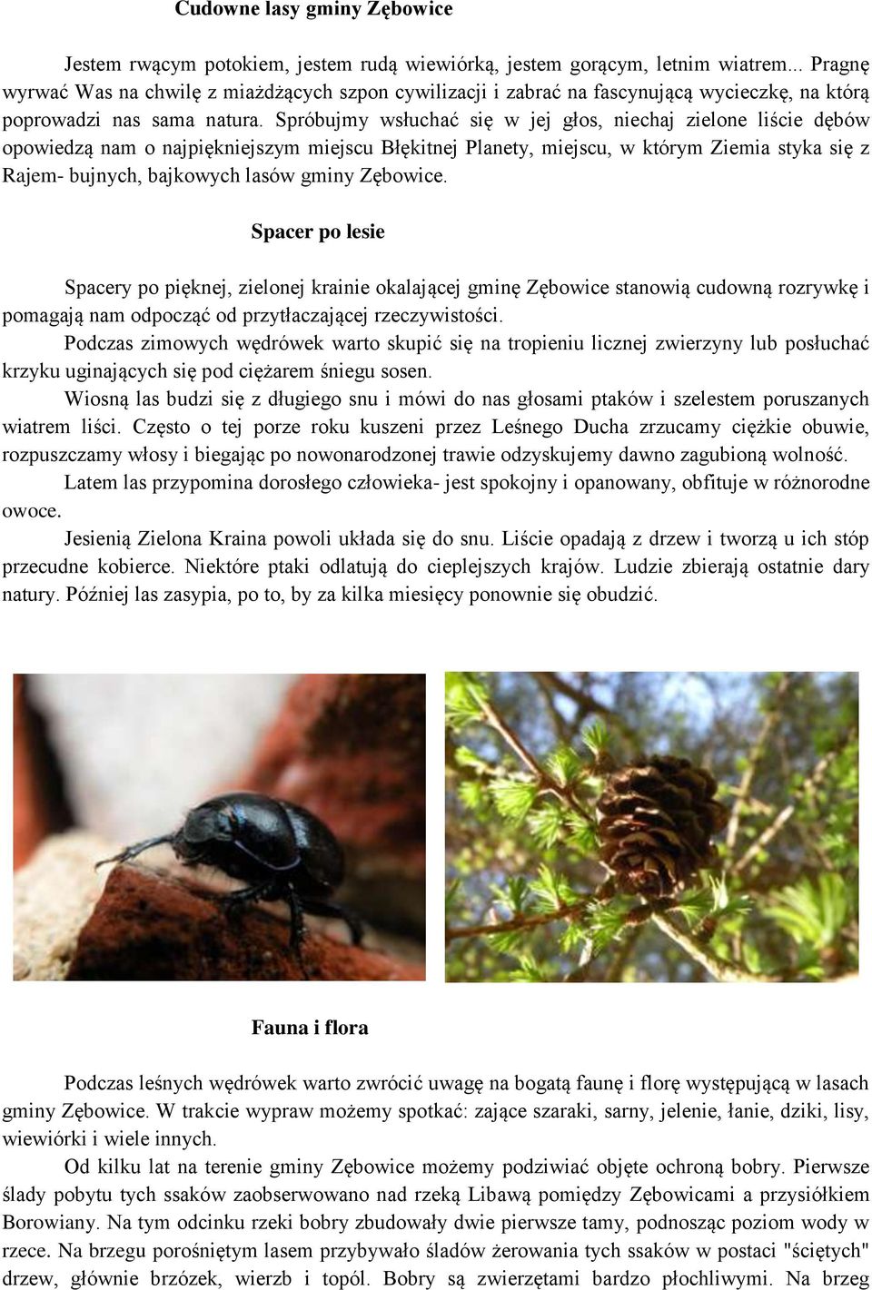 Spróbujmy wsłuchać się w jej głos, niechaj zielone liście dębów opowiedzą nam o najpiękniejszym miejscu Błękitnej Planety, miejscu, w którym Ziemia styka się z Rajem- bujnych, bajkowych lasów gminy