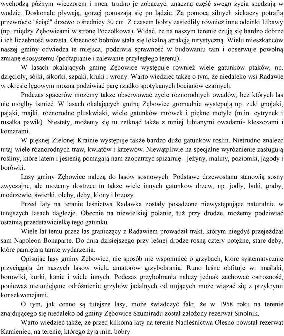 Widać, że na naszym terenie czują się bardzo dobrze i ich liczebność wzrasta. Obecność bobrów stała się lokalną atrakcją turystyczną.