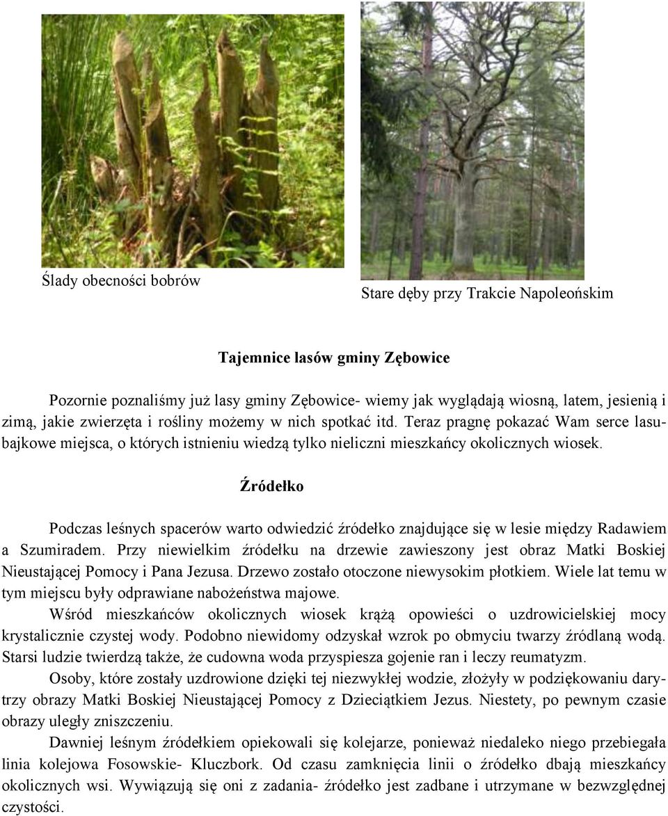 Źródełko Podczas leśnych spacerów warto odwiedzić źródełko znajdujące się w lesie między Radawiem a Szumiradem.