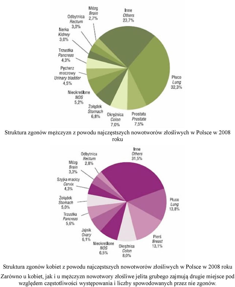 2008 roku Zarówno u kobiet, jak i u mężczyzn nowotwory złośliwe jelita grubego zajmują