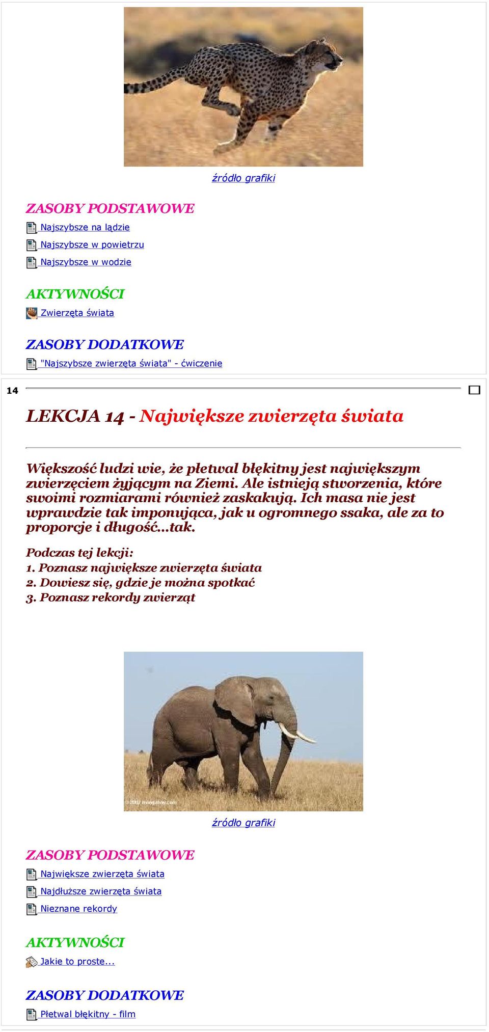 Ich masa nie jest wprawdzie tak imponująca, jak u ogromnego ssaka, ale za to proporcje i długość tak. 1. Poznasz największe zwierzęta świata 2.