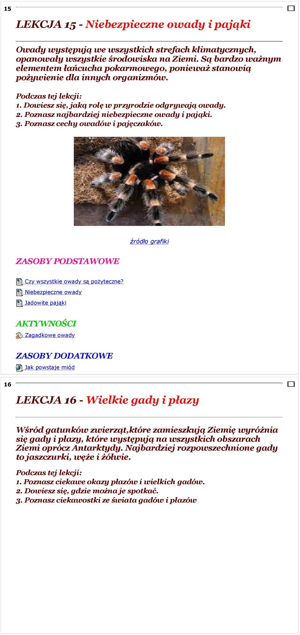 Poznasz najbardziej niebezpieczne owady i pająki. 3. Poznasz cechy owadów i pajęczaków. Czy wszystkie owady są pożyteczne?