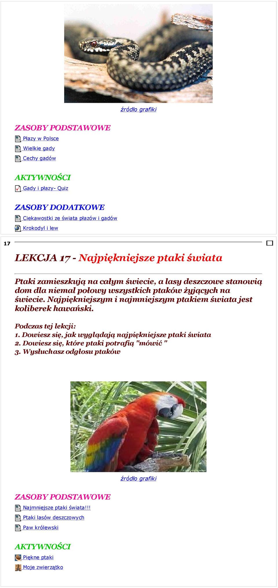 Najpiękniejszym i najmniejszym ptakiem świata jest koliberek hawański. 1. Dowiesz się, jak wyglądają najpiękniejsze ptaki świata 2.