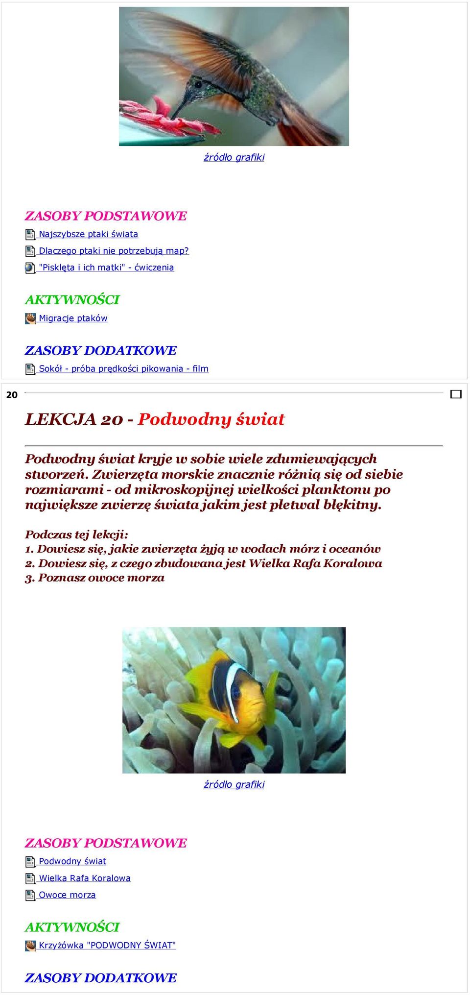 wiele zdumiewających stworzeń.