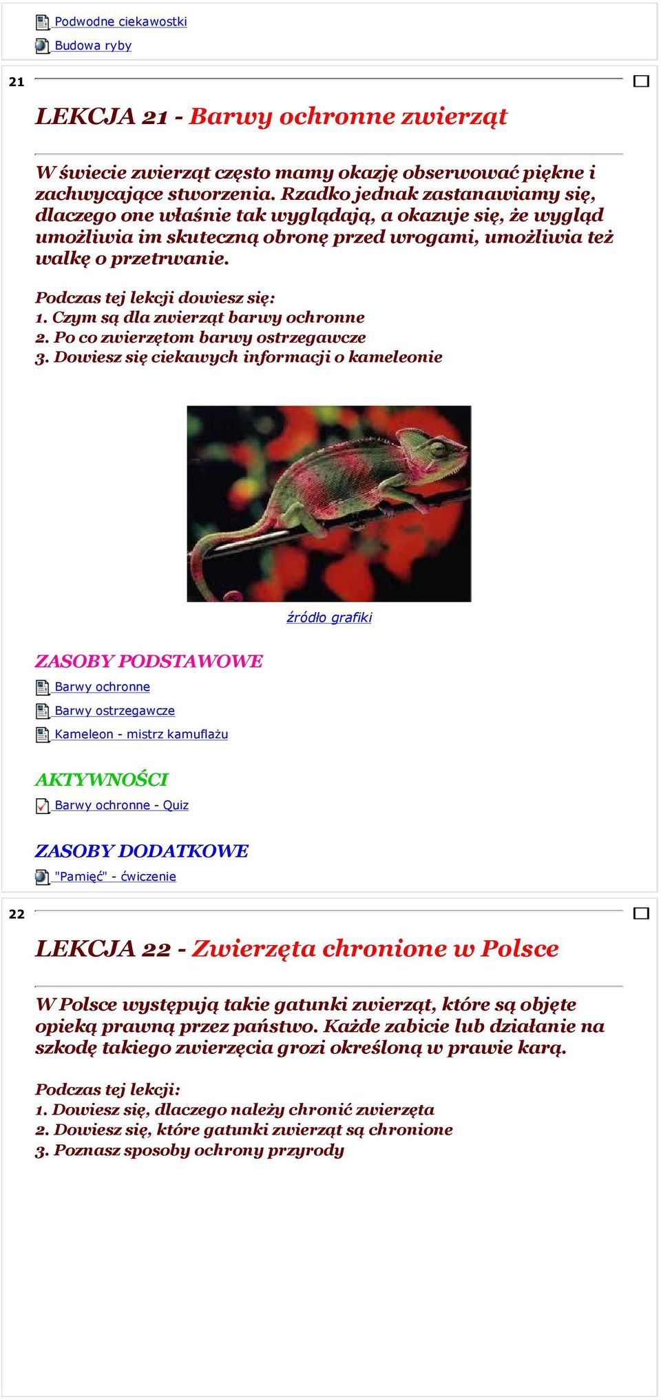 Podczas tej lekcji dowiesz się: 1. Czym są dla zwierząt barwy ochronne 2. Po co zwierzętom barwy ostrzegawcze 3.
