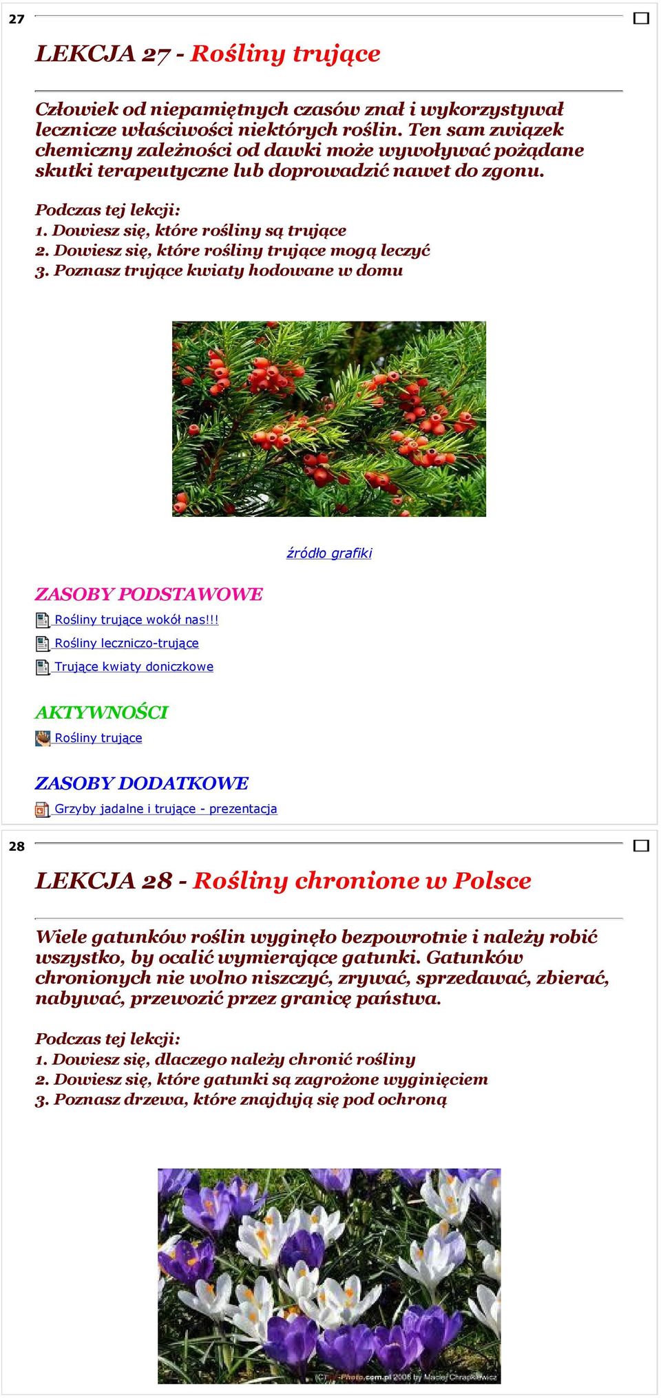 Dowiesz się, które rośliny trujące mogą leczyć 3. Poznasz trujące kwiaty hodowane w domu Rośliny trujące wokół nas!