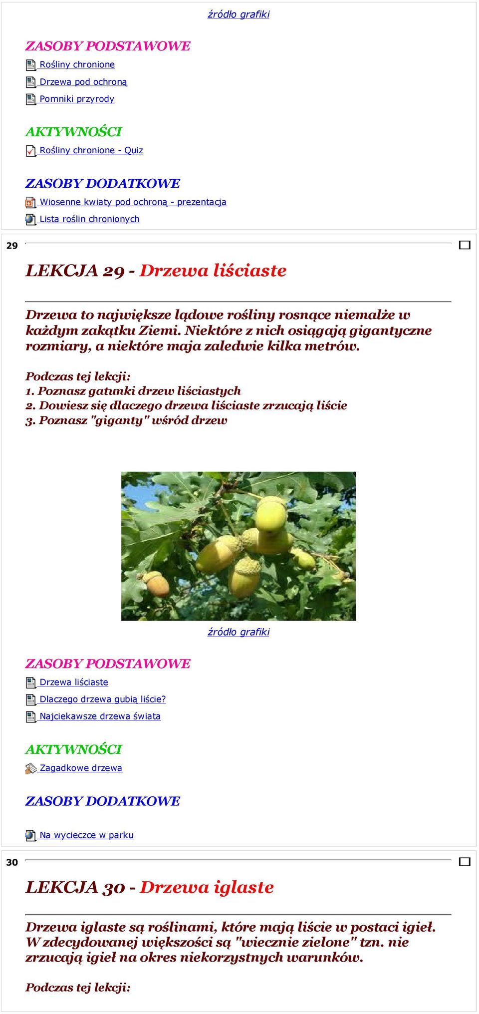 Dowiesz się dlaczego drzewa liściaste zrzucają liście 3. Poznasz "giganty" wśród drzew Drzewa liściaste Dlaczego drzewa gubią liście?