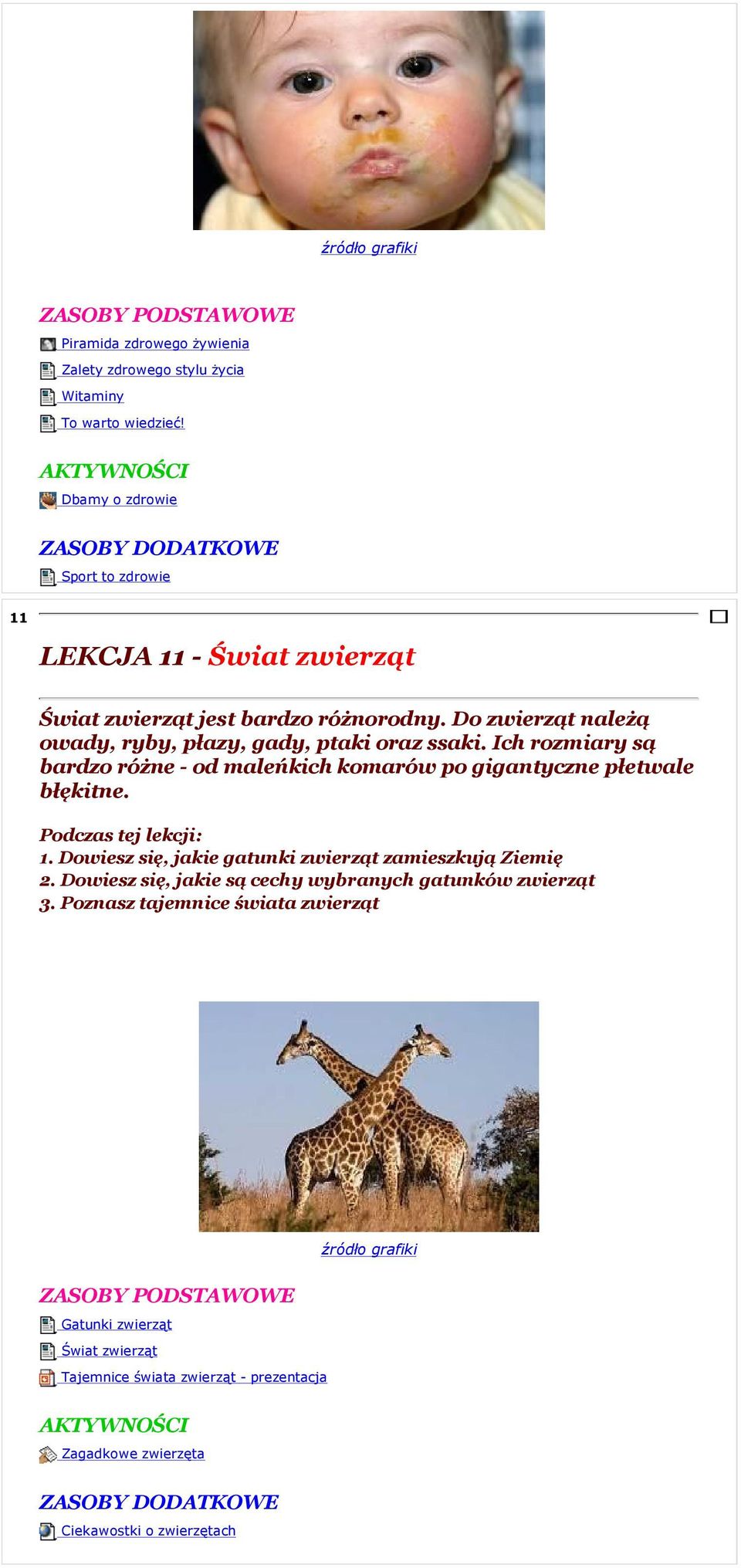Do zwierząt należą owady, ryby, płazy, gady, ptaki oraz ssaki. Ich rozmiary są bardzo różne - od maleńkich komarów po gigantyczne płetwale błękitne. 1.