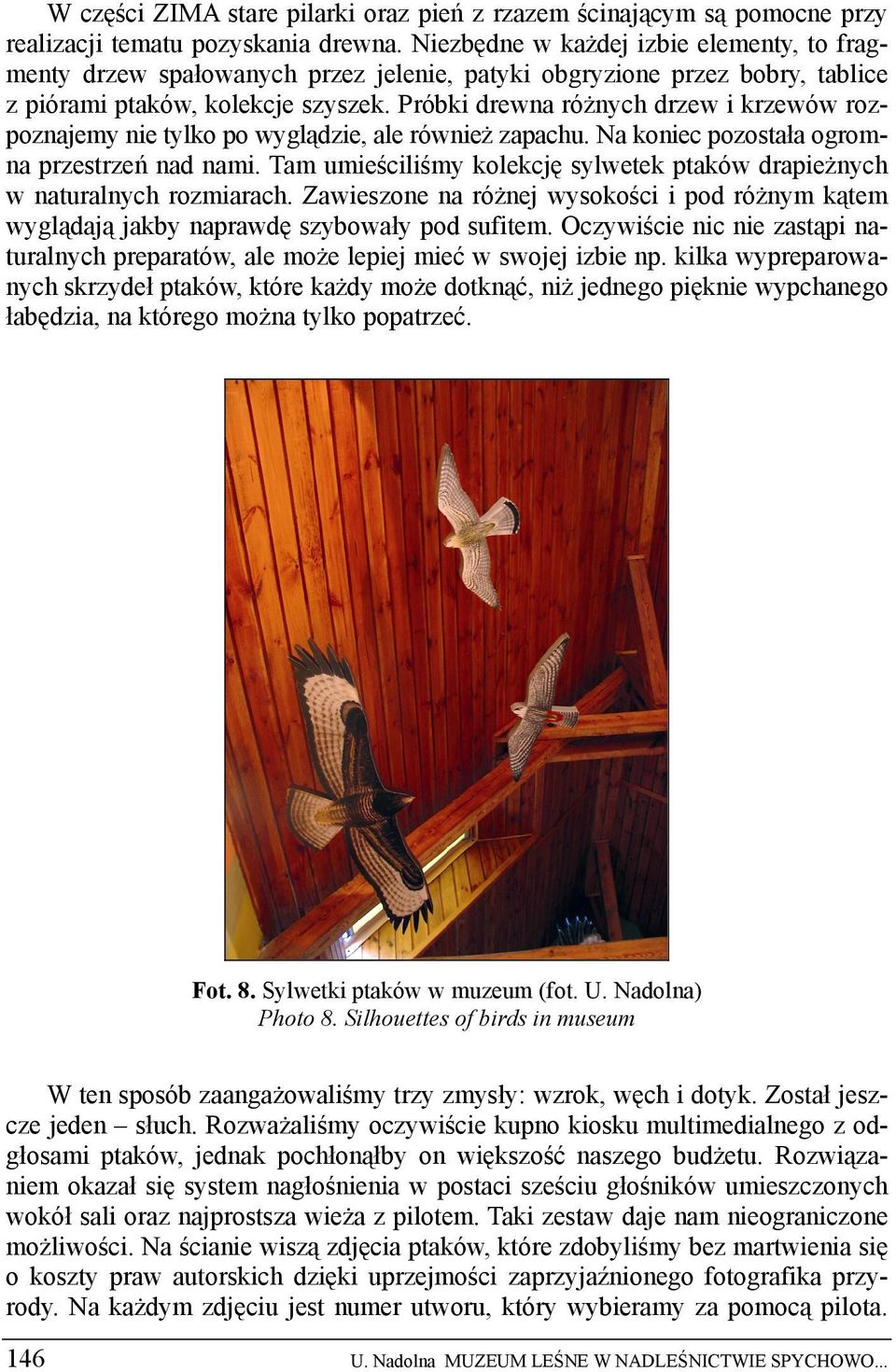 Próbki drewna różnych drzew i krzewów rozpoznajemy nie tylko po wyglądzie, ale również zapachu. Na koniec pozostała ogromna przestrzeń nad nami.