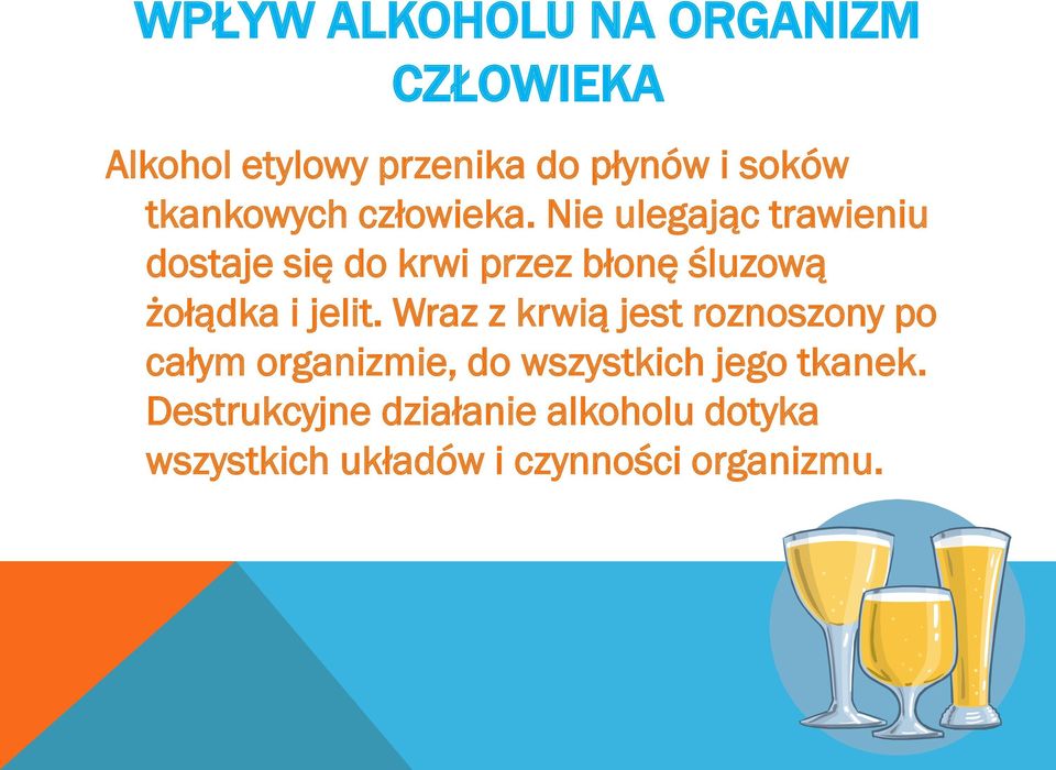 Nie ulegając trawieniu dostaje się do krwi przez błonę śluzową żołądka i jelit.