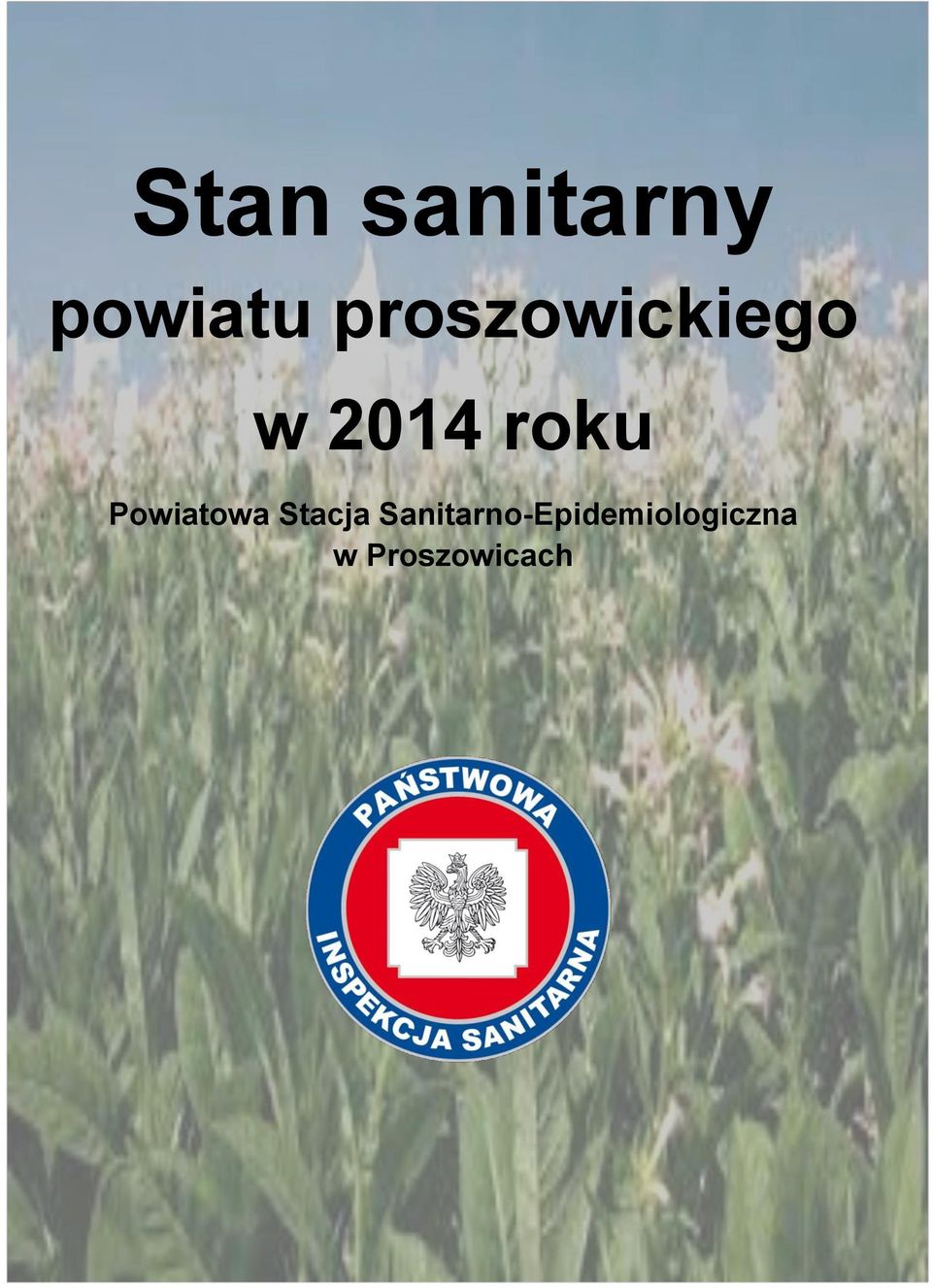 Powiatowa Stacja